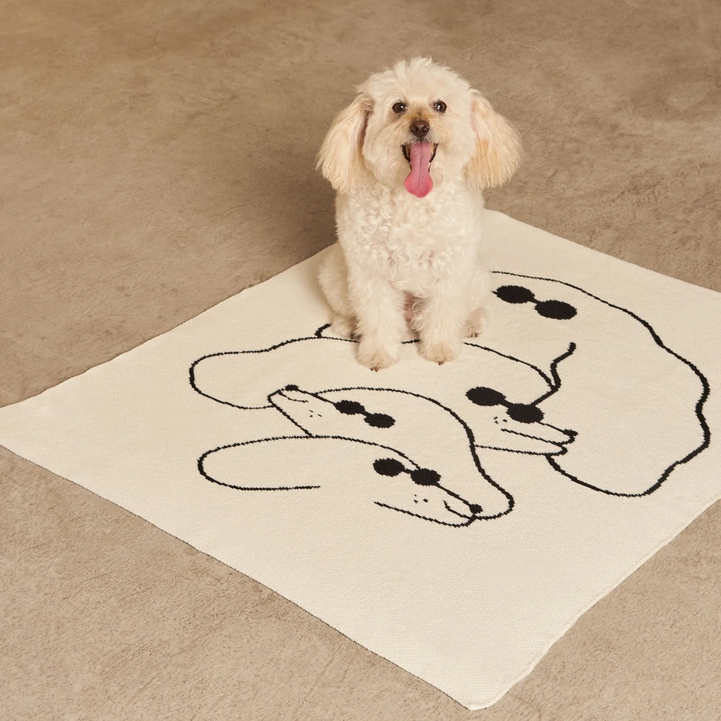 Dawgs Mini Blanket - Image 5